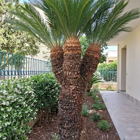 Cycas Home-casa Al Mare In Riviera Delle Palme Διαμέρισμα Σαν Μπενεντέτο ντελ Τρόντο