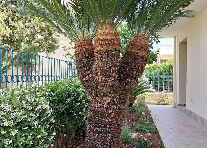 Cycas Home-casa Al Mare In Riviera Delle Palme Διαμέρισμα Σαν Μπενεντέτο ντελ Τρόντο